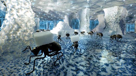 Crvenoguzi i naizgled simbiotično društvo (Red-end and the seemingly symbiotic society), red. Robin Noord, Bethany de Forest