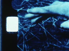 Dijete zakapa mrtve kukce, red. Rei Hayame