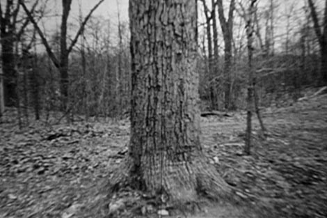 Sounding Glass, red. Sylvie Schedelbauer 