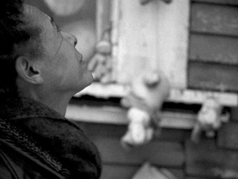 The Sweetness of Mother s Hair, red. Jana Debus