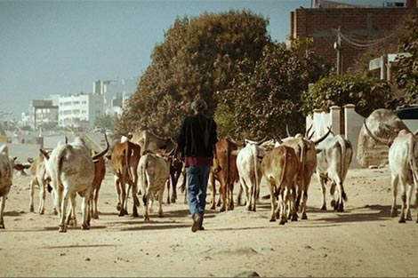 Tisuću sunaca, red. Mati Diop