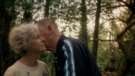 Vrtni ljubavnici (Eedenistä pohjoiseen), red. Virpi Suutari