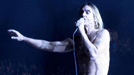 Wild Thing, red. Jérôme de Missolz