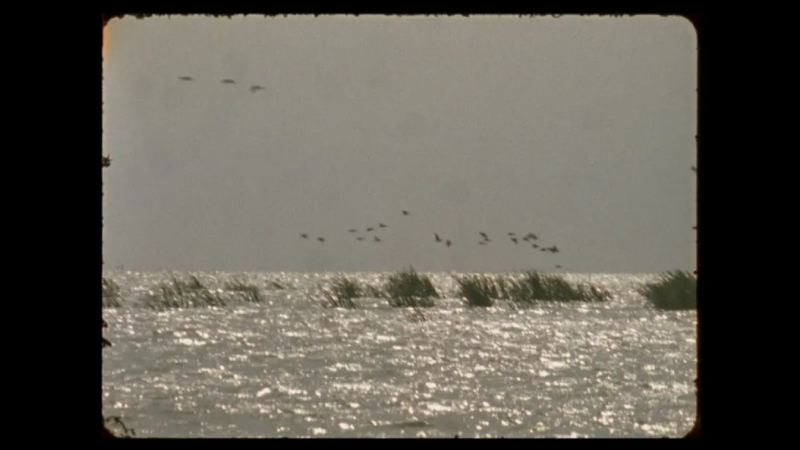 <em>Žene minorne spekulacije</em>, red. Nicole Hewitt, 2022.