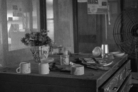 Ja sam mikro (I am Micro), red. Shumona Goel, Shai Heredia