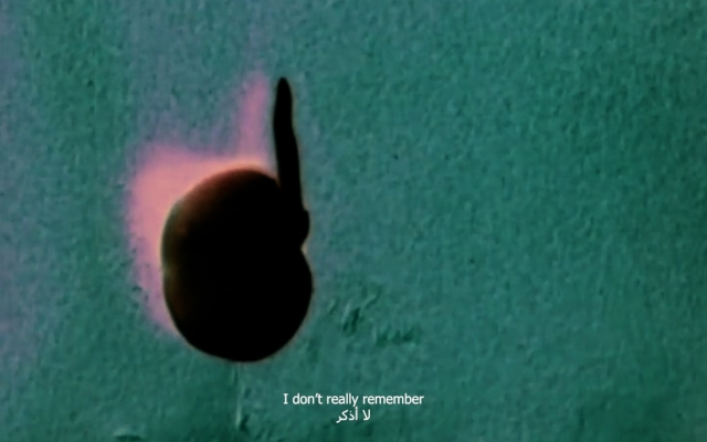 <em>Kad cvijeće sanja o nama</em> (<em>When Flowers Dream of Us</em>), red. Robert Minassian, Libanon, 2025.