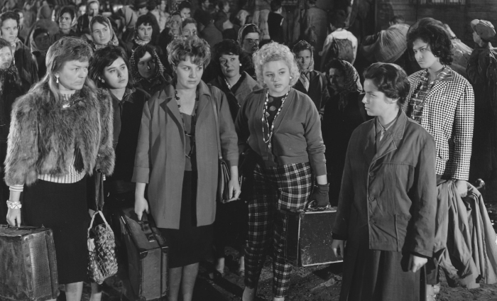 <em>Vlak bez voznog reda</em>, 1959.