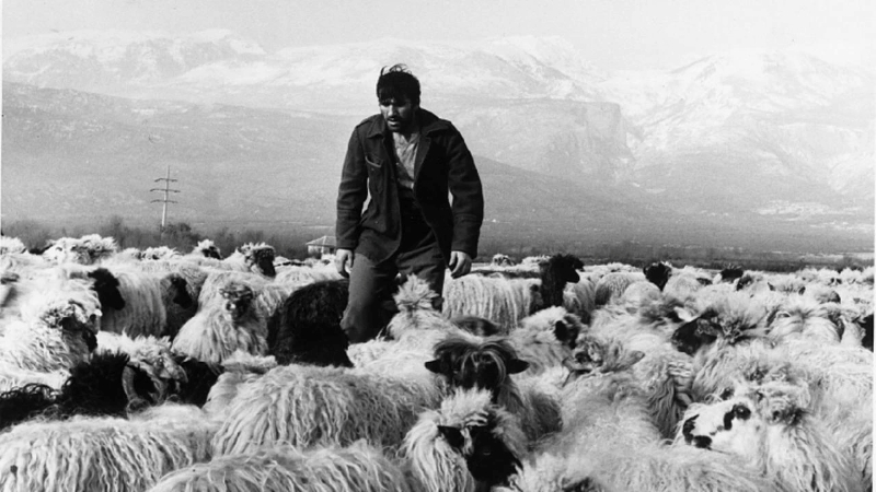 <em>Tri</em>, red. Aleksandar Saša Petrović, 1965.